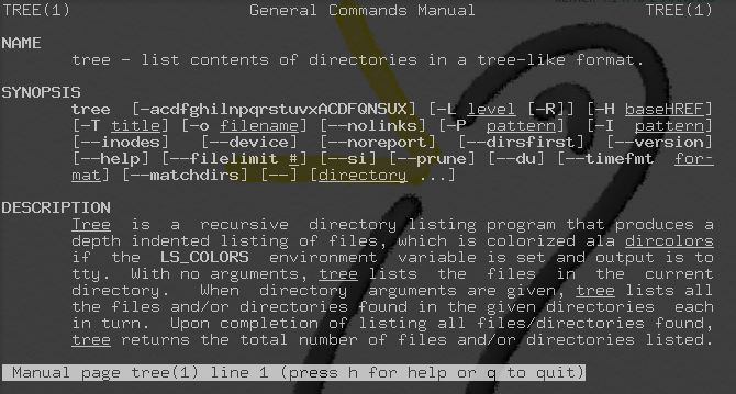 tree man page